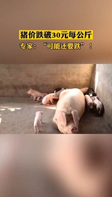 港澳新闻 第25页